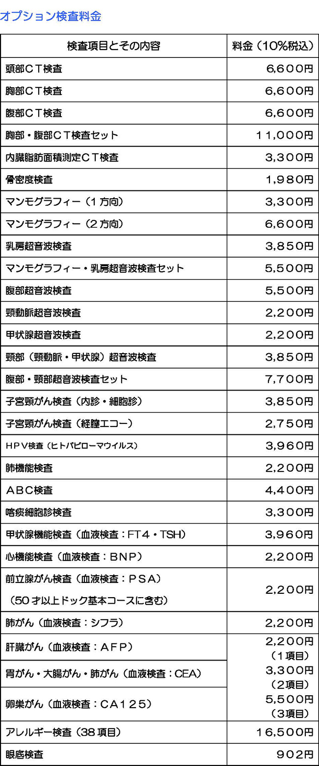 オプション料金表